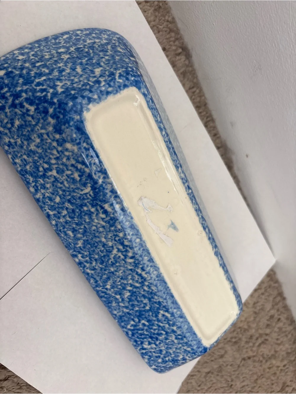 Vintage Goose Blue Speckled Ceramic cracker Tray